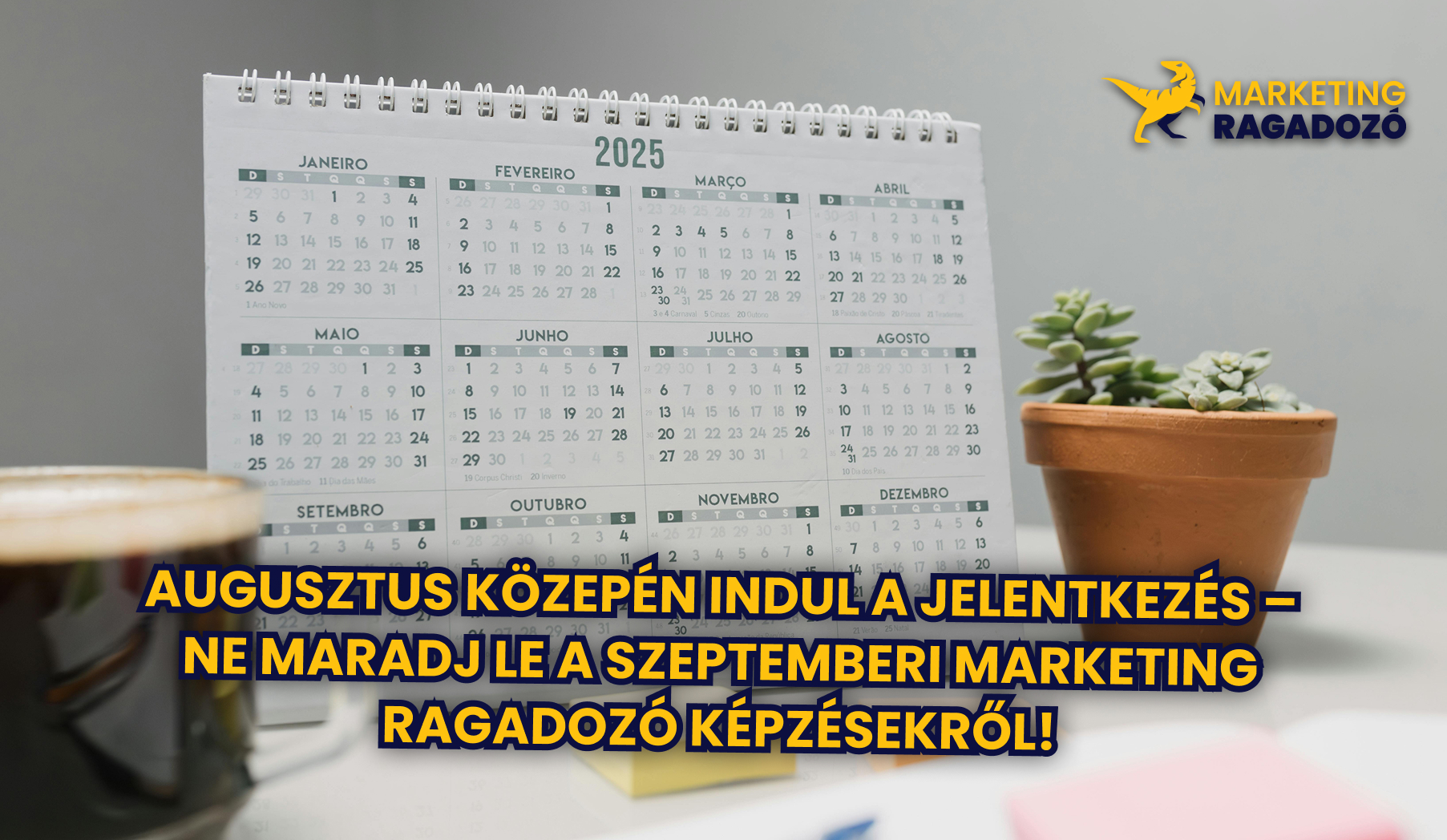 Augusztus közepén indul a jelentkezés – Ne maradj le a szeptemberi Marketing Ragadozó képzésekről!