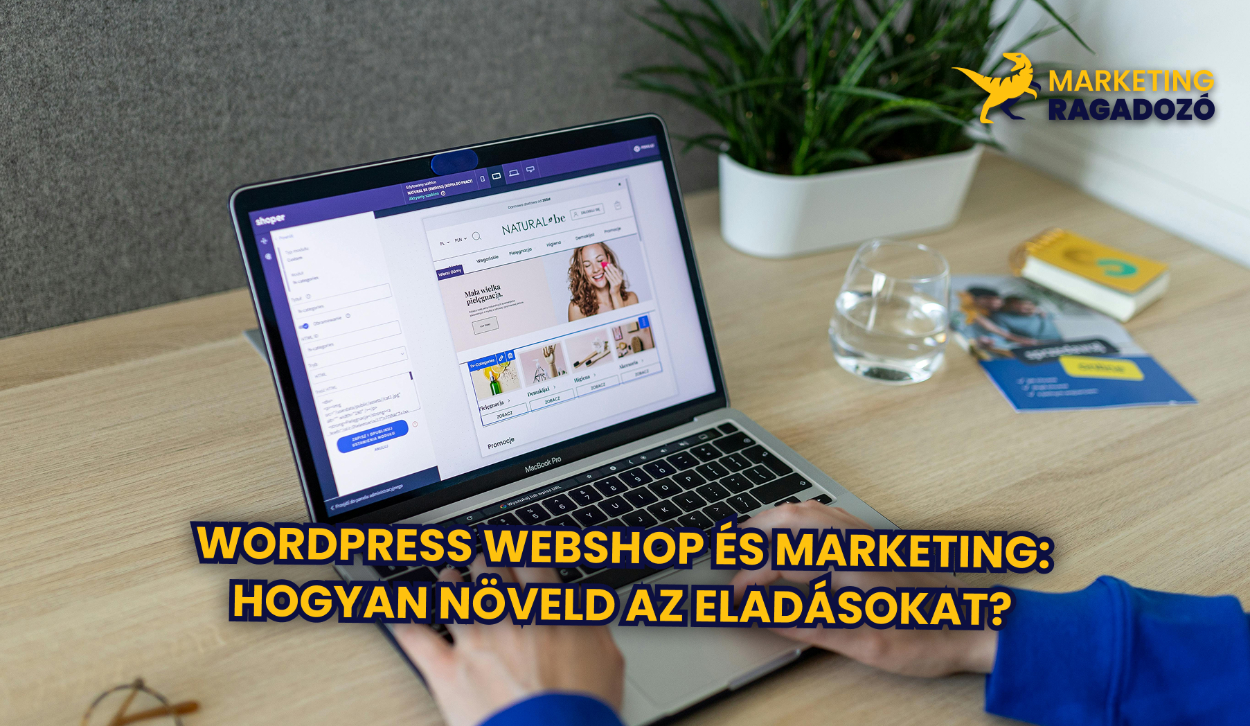 WordPress Webshop és Marketing: Hogyan Növeld az Eladásokat?